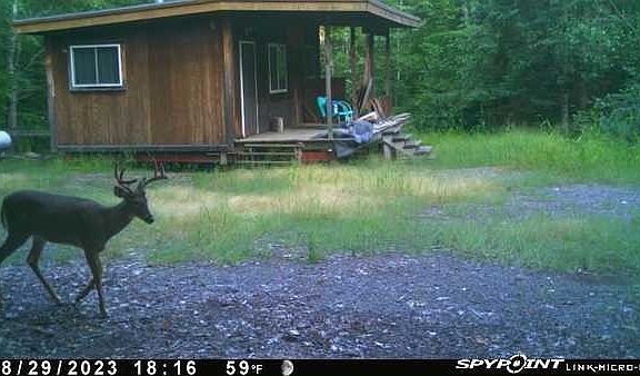 5th image of W2590 Wilson Road