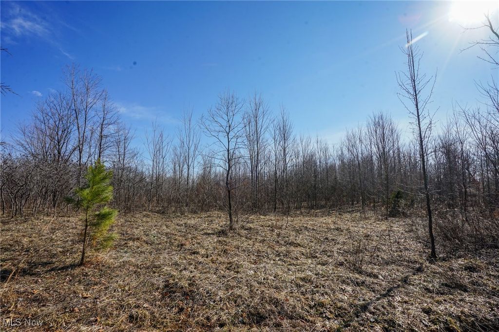 Real estate listing image