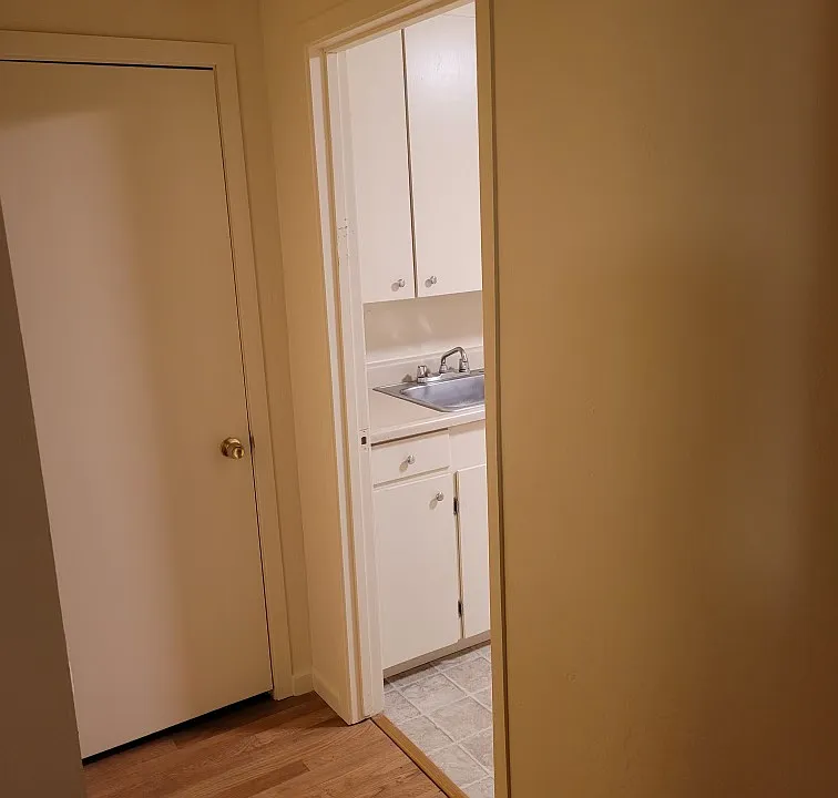 A hallway off the living room leads to a pantry closet and kitchen.