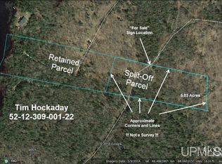 51A Holli Blue Rd, Republic, MI 49879