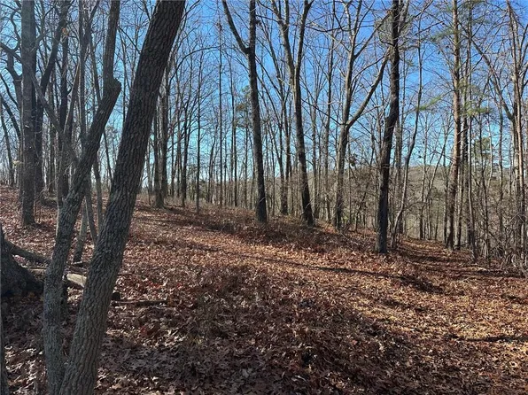 0 Charlie Lemley Rd #9.45, Dawsonville, GA 30534