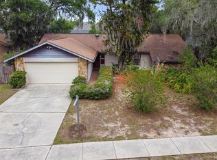 1010 Riflecrest Ave, Valrico, FL 33594
