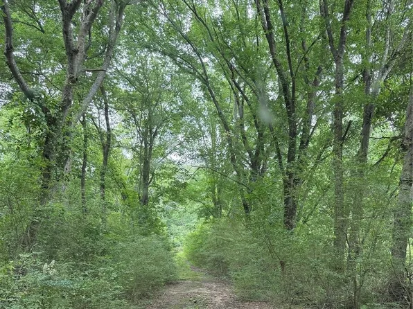 County Road 2324, Como, TX 75431