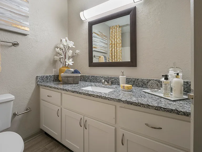 Bathroom with granite countertop