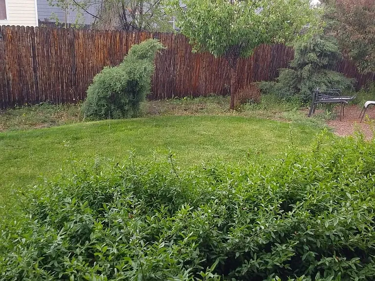 4345 Ranch Creek Dr — Photo 25