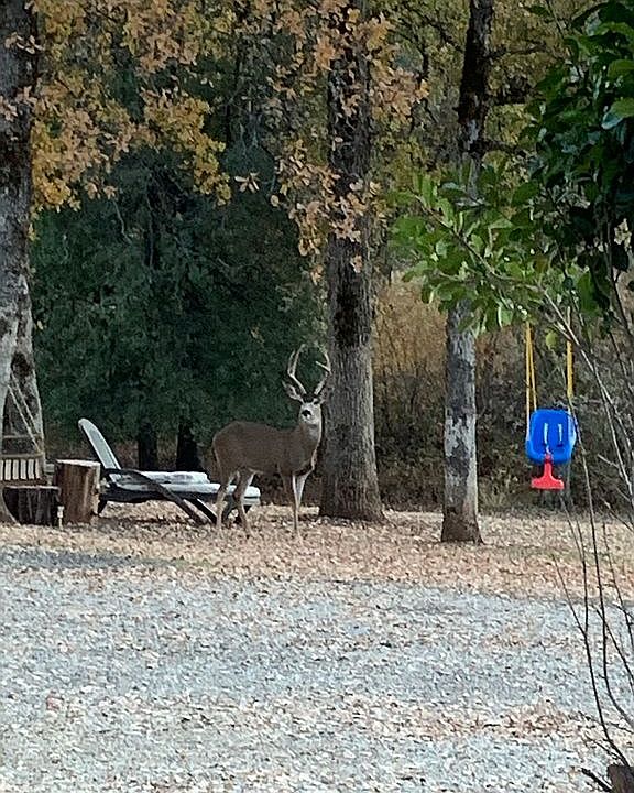 Looking South from driveway 