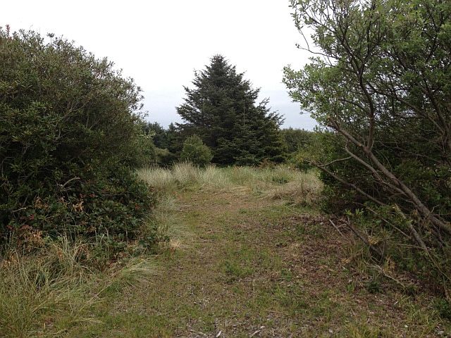 1st image of 334 Sand Dune Ave SW