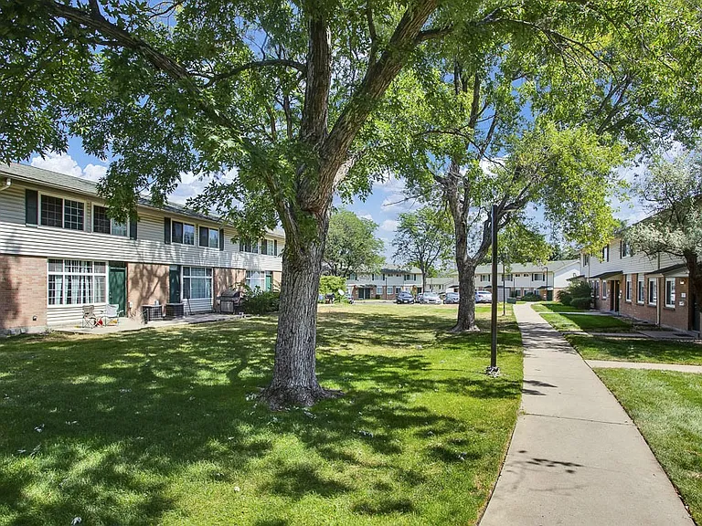 Tree lined sidewalks