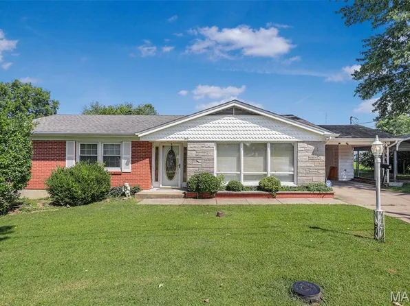 10 1/2 Head Dr, Fredericktown, MO 63645