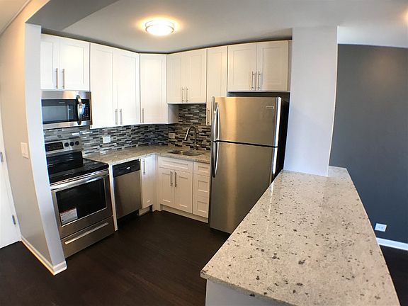 5th image of 1360 N Sandburg Ter APT 1806