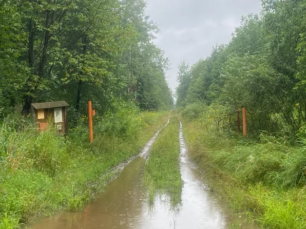 Near Cth #M, Hawkins, WI 54530