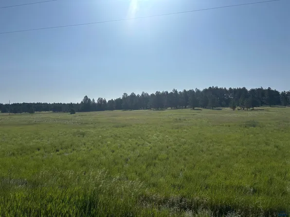 13 Harriet Ward Rd, Custer, SD 57730