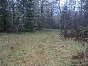 4th image of 2221 93rd Ave SE