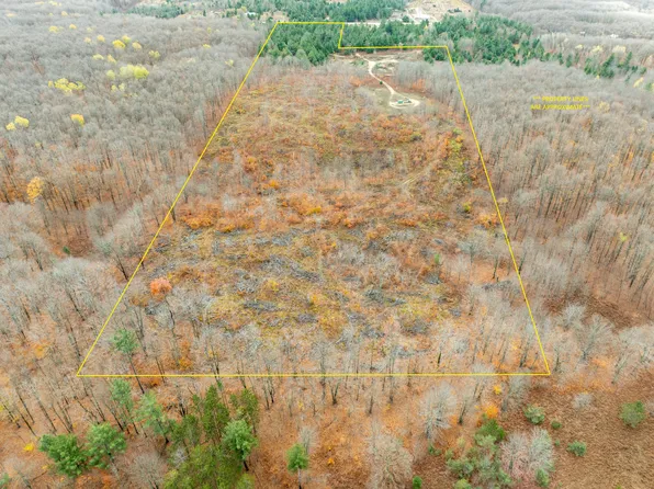 Mancelona Rd, Mancelona, MI 49659