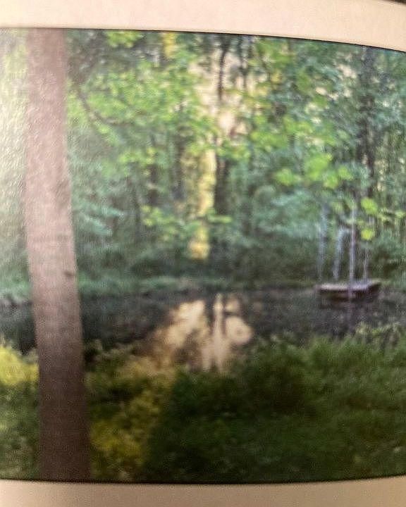 Spring Fed pond by house 