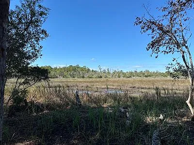 4 bed, 1150 sqft, $3,500 — Photo 3