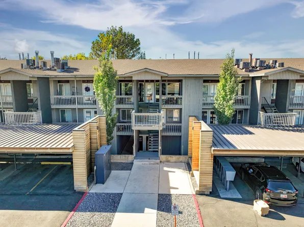 Welcome to The Shenandoah!