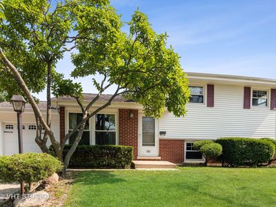 235 Mill Rd, Addison, IL, 60101
