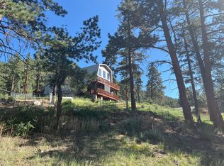 15142 S Elk Creek Rd, Pine, CO 80470