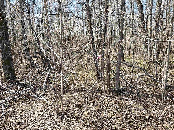 5th image of Pineview Dr Lot 455