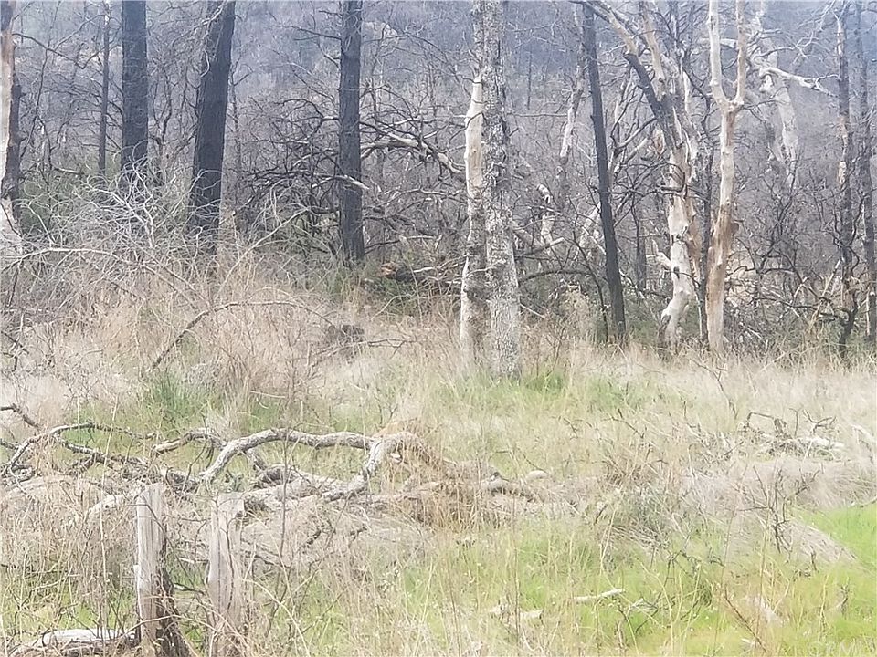 2nd image of 0 Maple