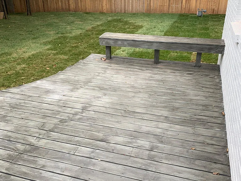 BACK YARD
