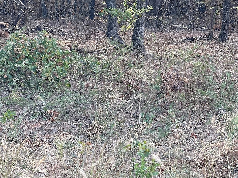 2nd image of 2603 S McKenzie