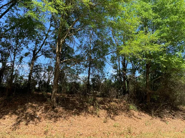 25 County Road 3319, Troy, AL 36079