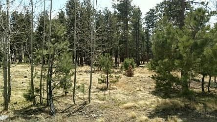 5th image of 122 Bridlewood Ln