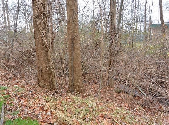 3rd image of 3026 Debra Ct #1