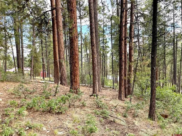 20 Elk Drive, Bayfield, CO 81122