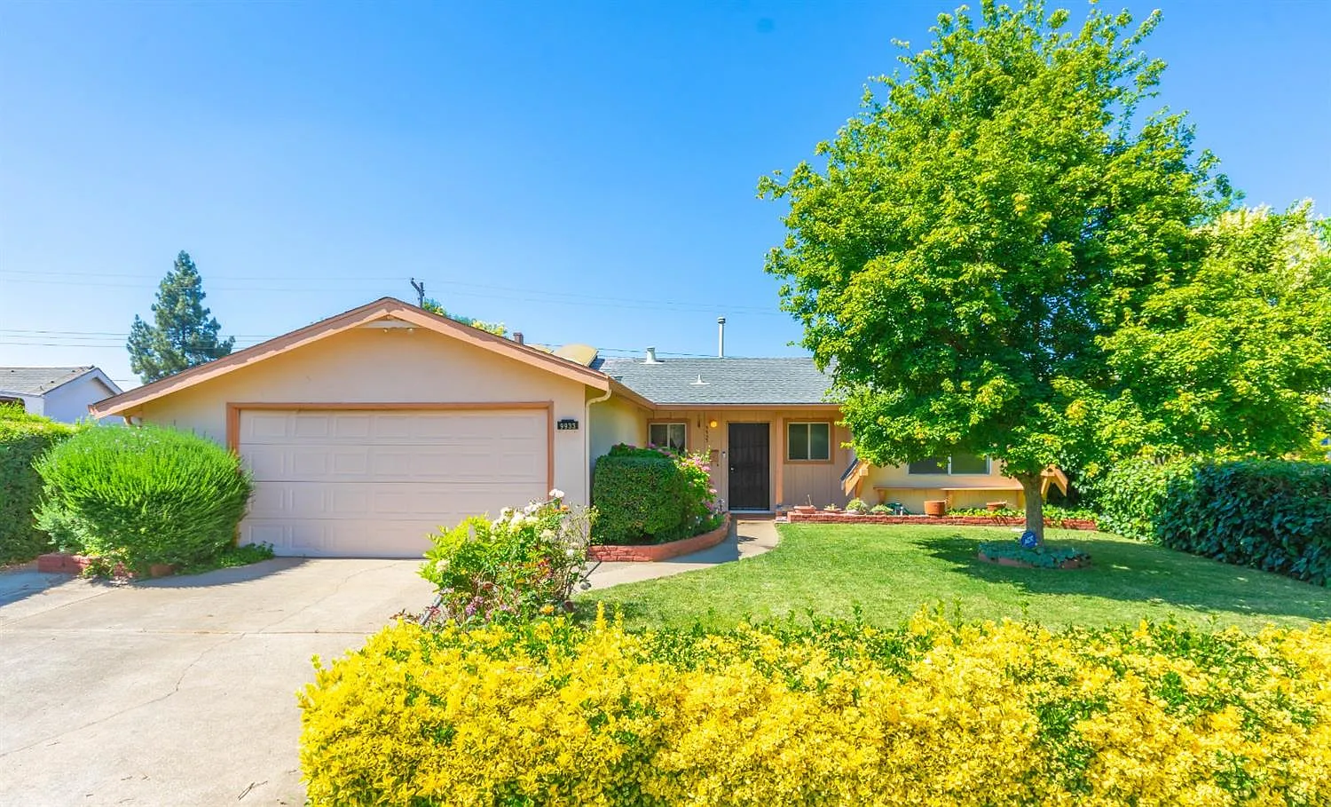 9933 Aries Way photo 1