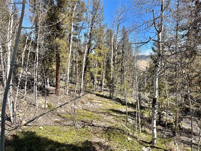 2834 Middle Fork Vis, Fairplay, CO, 80440