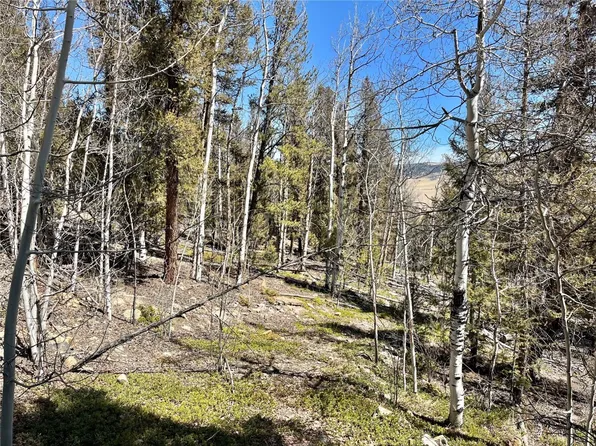 2834 Middle Fork Vis, Fairplay, CO 80440