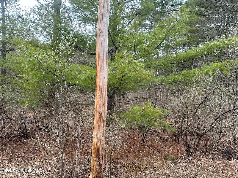 2nd image of L46.112 Sandhill Road