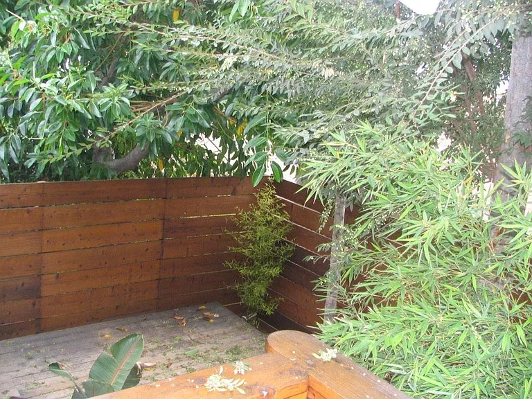 3310 Effie St — Photo 9
