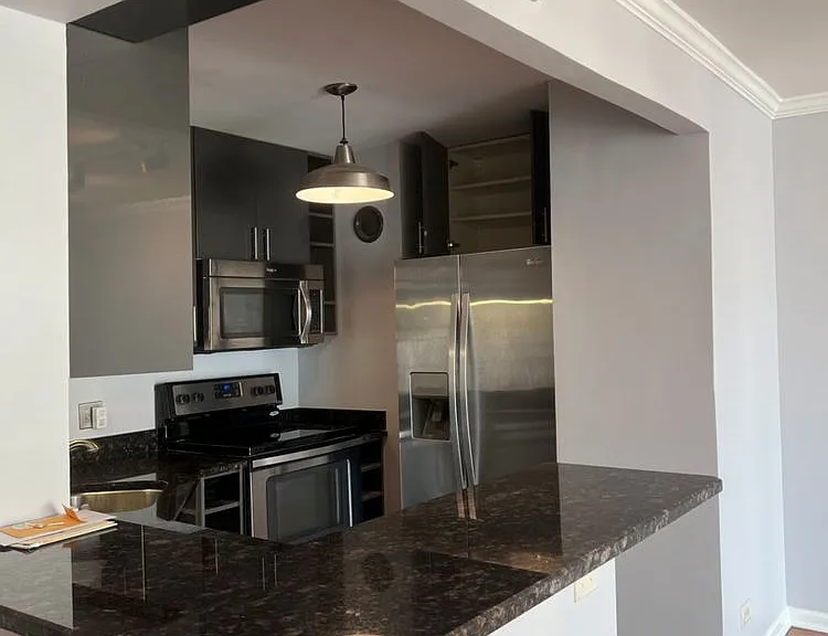 195 N Harbor Dr #3807 — Photo 7