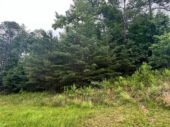 14 Lake Ct #14, White, GA 30184