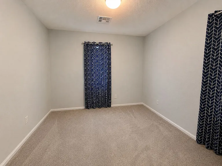 125 Copper Pine Ave — Photo 10