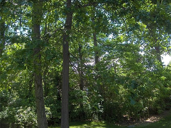 5th image of 491 Wood Harbor Trl