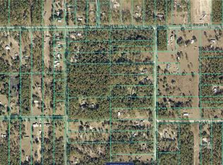 0 SW 176th Ave, Dunnellon, FL 34432