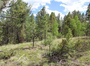 607 Gold Dust Creek Rd, Florissant, CO 80816