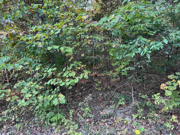 1108&1110 Pavilion Lane Pkwy #1109, Horseshoe Bend, AR 72512