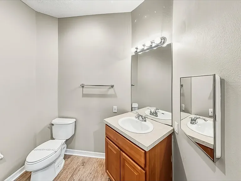 3870 Elizabeth Springs Way — Photo 10