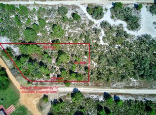 2880 W Celebrity Ct, Avon Park, FL 33825