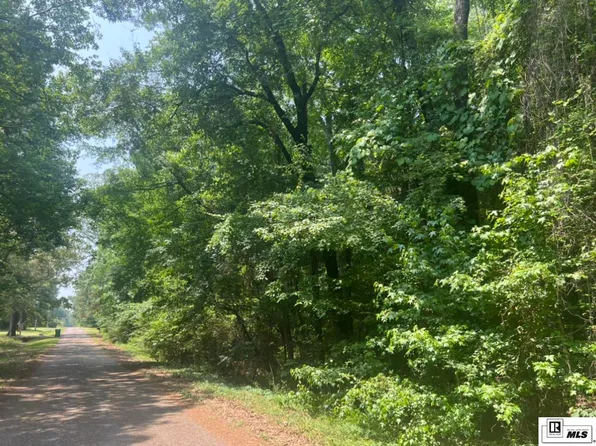 0 Devohn Hayes Rd, Bastrop, LA 71220