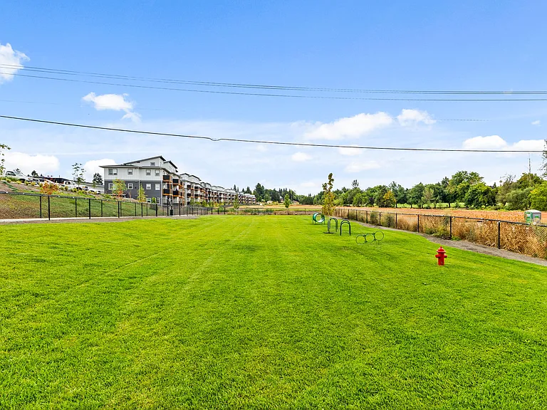 Verda Crossing | Dog Park