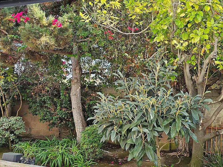Pomona Ave — Photo 11