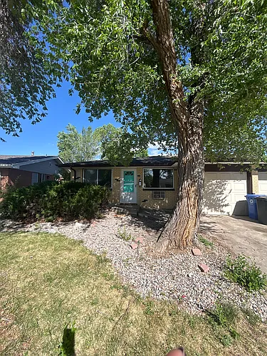 3120 Butternut Dr Photo 1