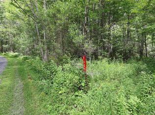 7401 Millbrook Rd, Arkville, NY 12406